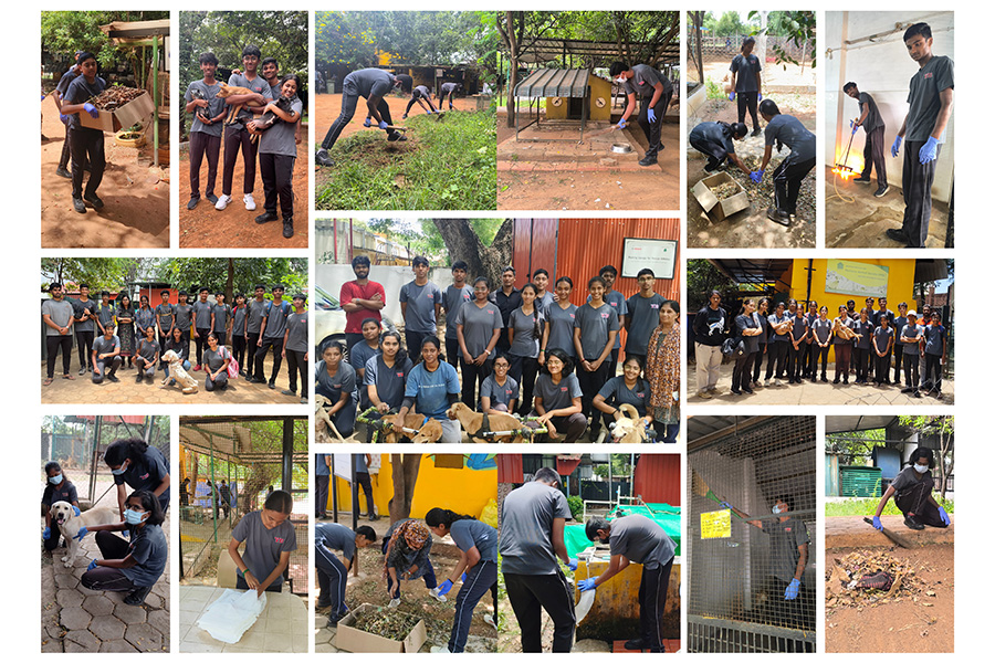 volunteering-at-has-humane-animal-society